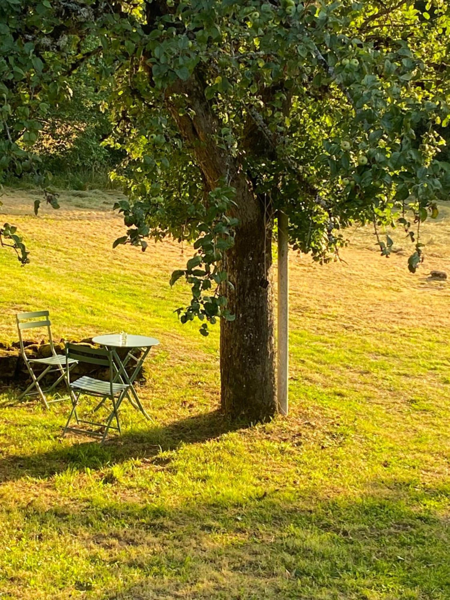 Une Pause En Correze Sarroux Exterior foto